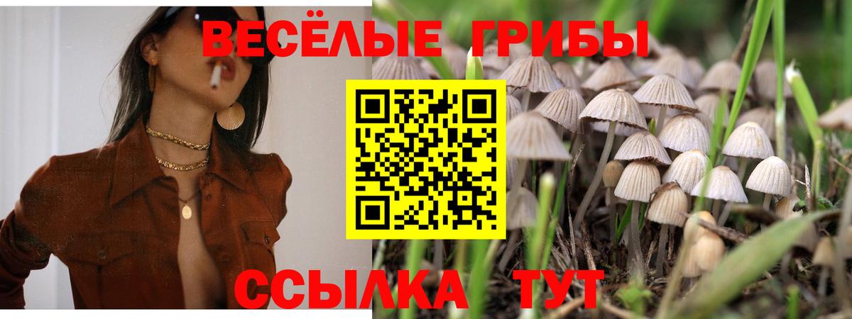 Псилоцибиновые грибы GOLDEN TEACHER Новоалтайск
